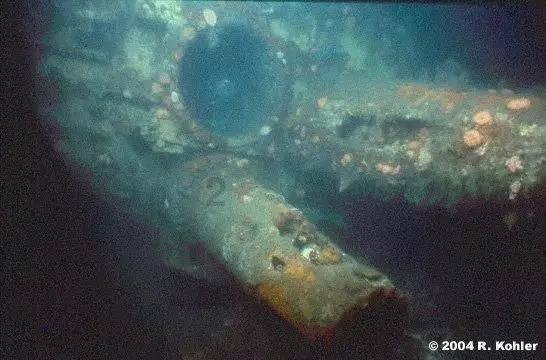 为城市更新贡献教育力量!市级教育基本建设重大工程2024年度推进会召开,多个重大项目启动开工
