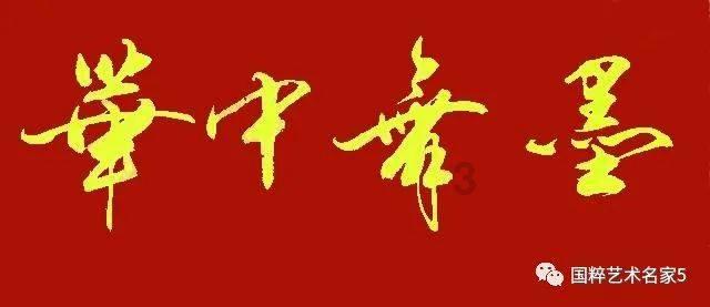 苏菲亚安伯时装秀