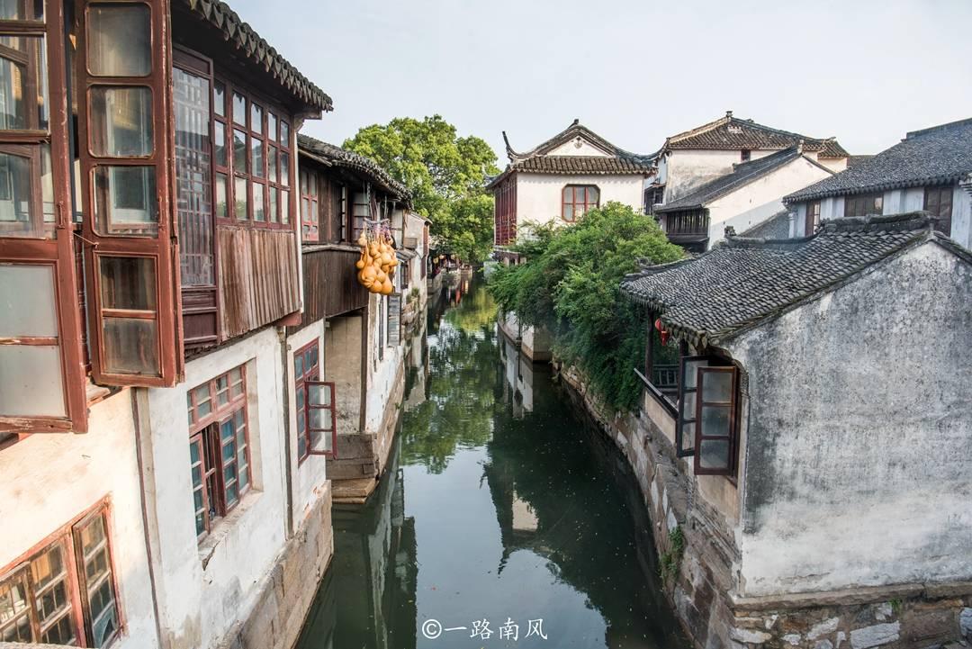 枕上书：为何帝君会选凤九？知鹤和姬蘅有多笨，凤九就有多聪明！